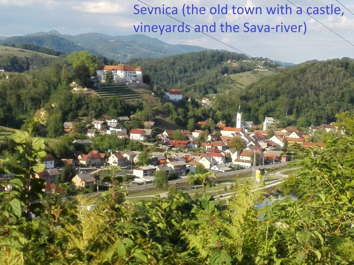 Getaway "At The Three Lights" Villa Sevnica Kültér fotó